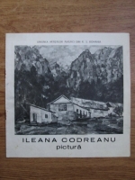 Ileana Codreanu, pictura (catalog de expozitie)