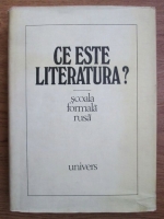 Ce este literatura? Scoala formala rusa