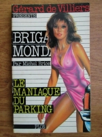 Michel Brice - Le maniaque du parking
