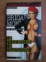 Michel Brice - Les prisonnier de Beaubourg