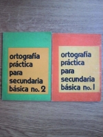 Ortografia practica para secundaria basica (2 volume)