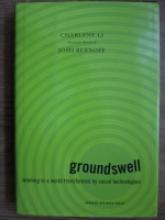 Charlene Li, Josh Bernoff - Groundswell. Winning in a world transformed by social technologies