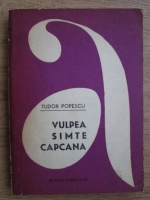 Tudor Popescu - Vulpea simte capcana
