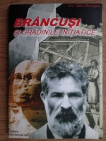 Ion Gelu Muresan - Brancusi si gradinile initiatice