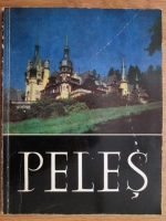 Anticariat: Peles, Album foto