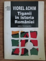 Viorel Achim - Tiganii in istoria Romaniei