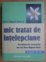 Don Miguel Ruiz - Mic tratat de intelepciune