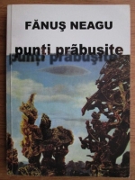 Fanus Neagu - Punti prabusite
