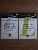 Anticariat: Ion Petrica - Probleme de analiza matematica (2 volume)