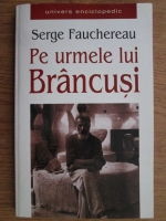 Serge Fauchereau - Pe urmele lui Brancusi